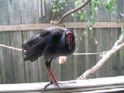 wildlife0221.jpg